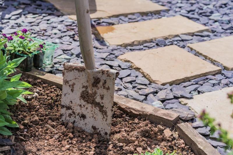 Comment r&eacute;ussir la plantation d'arbres &agrave; Flexbourg ?