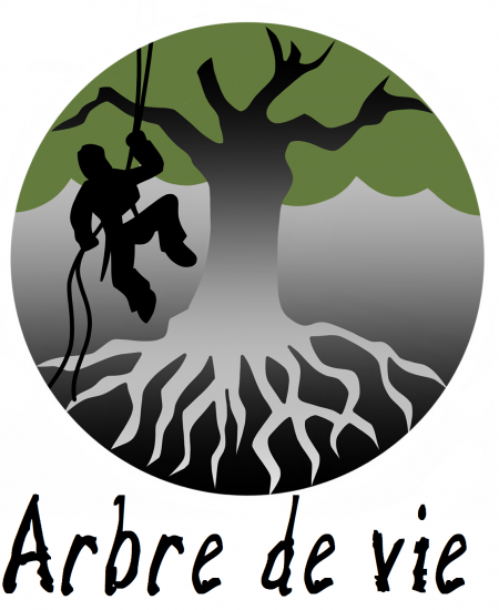 Arbre-de-Vie-Elagage-Abattage-Amenagement-paysager-Paysagiste-Molsheim-Rosheim-Obernai-Marlenheim-Strasbourg-Schirmeck.png